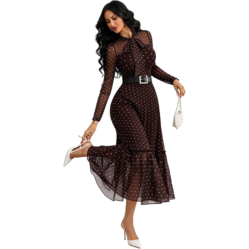Sheer Polka Dot Dress