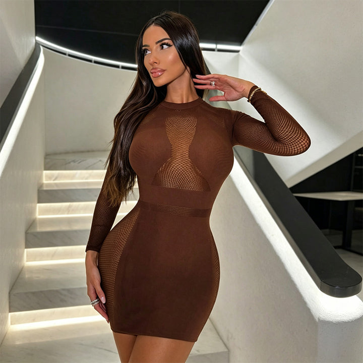 Sheer Mesh Bodycon Mini Dress