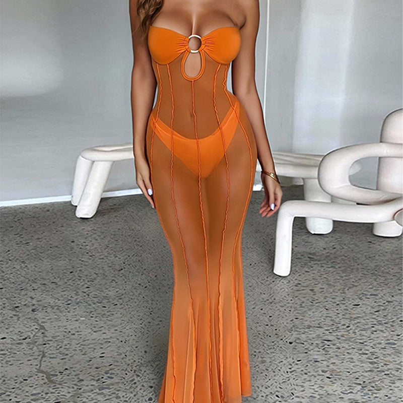 Sheer Mesh Corset Maxi Dress