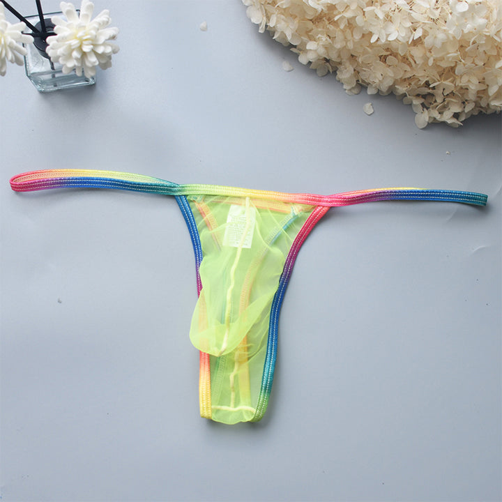 Women's transparent mesh thong