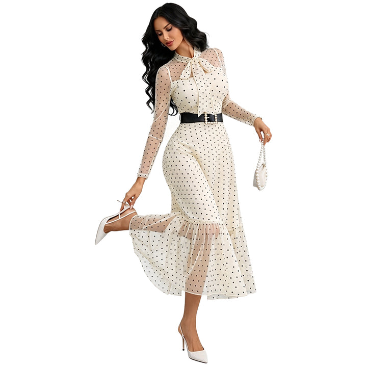 Sheer Polka Dot Dress