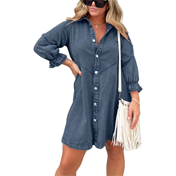 Button Front Denim Shirt Dress