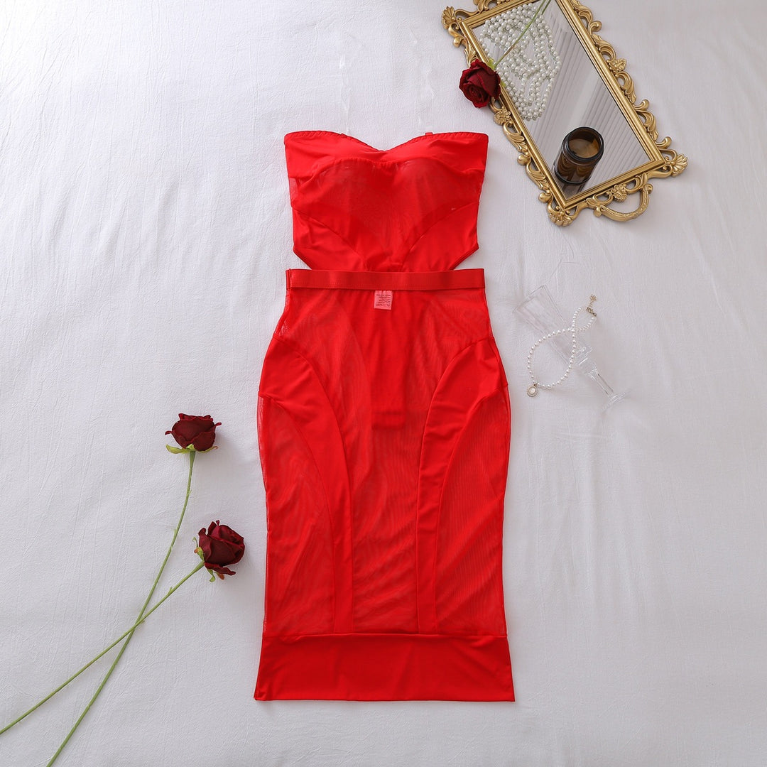 Sheer Mesh Bodycon Midi Dress