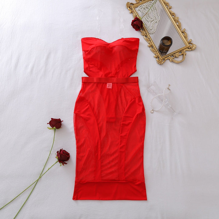 Sheer Mesh Bodycon Midi Dress
