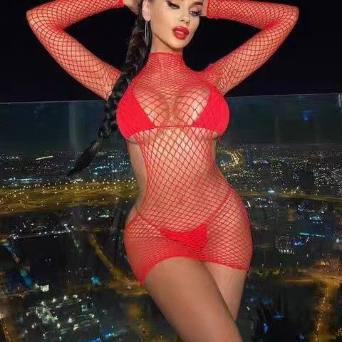 High Neck Fishnet Long Sleeve Mini Dress