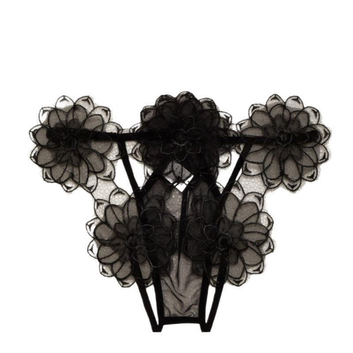 Plus Size Embroidered Lace Panty – Sheer Floral Mesh Breathable Briefs for Women