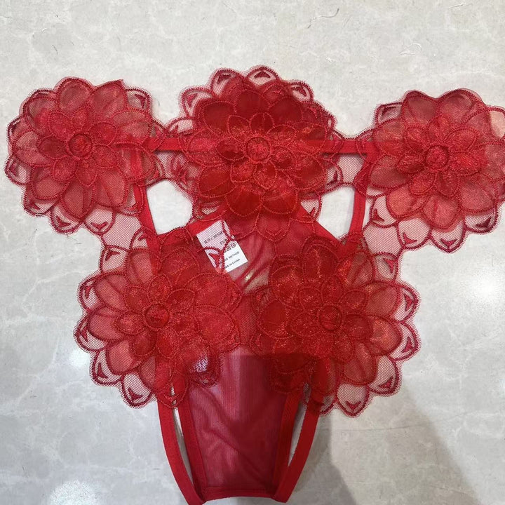 Plus Size Embroidered Lace Panty – Sheer Floral Mesh Breathable Briefs for Women