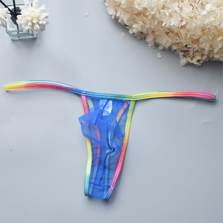 Women's transparent mesh thong